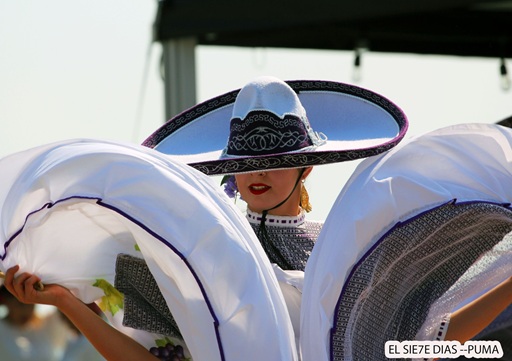 Ya Vienen las Fiestas Patrias