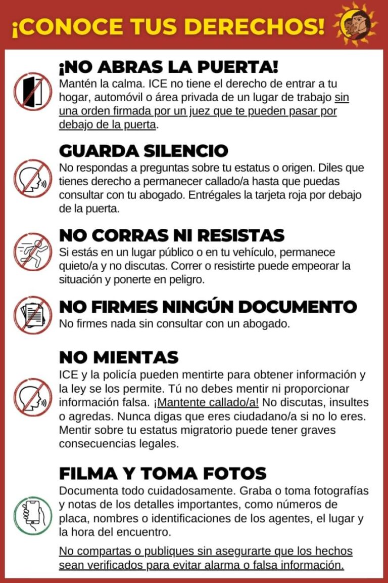 ONU Exige a EE.UU. Respetar el Estado de Derecho de Inmigrantes